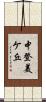 中登美ケ丘 Scroll