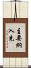 主要納入先 Scroll