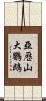 亞歷山大鸚鵡 Scroll