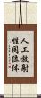 人工放射性同位体 Scroll