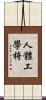 人體工學椅 Scroll