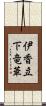 伊香立下竜華 Scroll