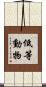 低等動物 Scroll
