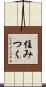 住みつく Scroll
