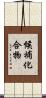 候補化合物 Scroll