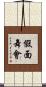 假面舞會 Scroll