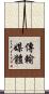 傳輸媒體 Scroll
