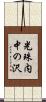 光珠内中の沢 Scroll