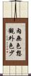 內無色想觀外色少 Scroll