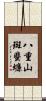 八重山斑蜚蠊 Scroll