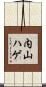 内山ハゲ Scroll