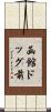 函館ドッグ前 Scroll