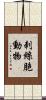 刺絲胞動物 Scroll