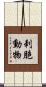 刺胞動物 Scroll