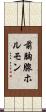 前胸腺ホルモン Scroll