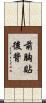 前胸貼後背 Scroll