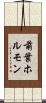 前葉ホルモン Scroll
