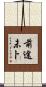 前途未卜 Scroll