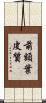 前額葉皮質 Scroll