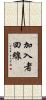 加入者回線 Scroll