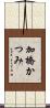 加橋かつみ Scroll