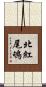 北紅尾鴝 Scroll
