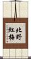 北野紅梅 Scroll