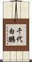 千代白鵬 Scroll