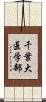 千葉大医学部 Scroll