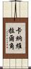 卡納維拉爾角 Scroll
