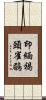 印緬褐頭雀鶥 Scroll