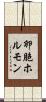 卵胞ホルモン Scroll