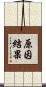 原因結果 Scroll