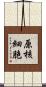 原核細胞 Scroll