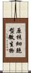 原核細胞型微生物 Scroll