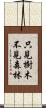 只見樹木不見森林 Scroll
