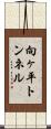 向ヶ平トンネル Scroll