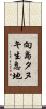 向島タヌキ生息地 Scroll