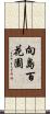 向島百花園 Scroll