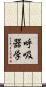 呼吸器学 Scroll