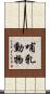 哺乳動物 Scroll