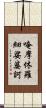 唵摩休羅細娑婆訶 Scroll