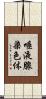 唾液腺染色体 Scroll