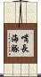 嘴長海豚 Scroll