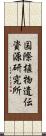 国際植物遺伝資源研究所 Scroll