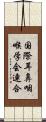 国際耳鼻咽喉学会連合 Scroll