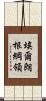 埃爾朗根綱領 Scroll