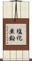 塩化亜鉛 Scroll
