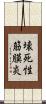 壊死性筋膜炎 Scroll