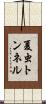夏虫トンネル Scroll